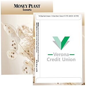 Standard Series Seed Packet - Money Plant Main Image