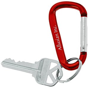Carabiner Keychain Main Image