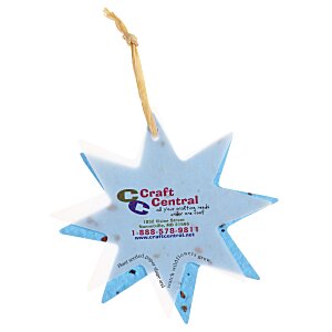 Seeded Paper Ornament - Star Main Image