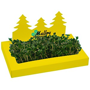 Tree Line Sprout Box Main Image