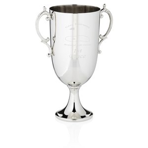 Bedford Trophy Cup - 12" Main Image