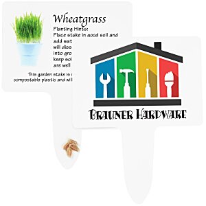 Compostable Seed Stakes - Wheatgrass Main Image