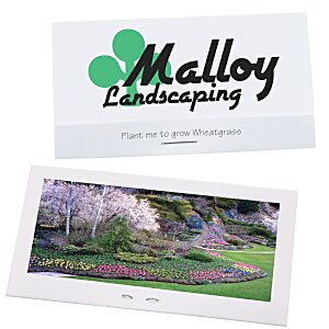 Matchbook Seed Packet - Wheatgrass Main Image