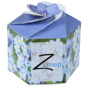 Pop Up Planter Kit - Forget Me Not Main Image