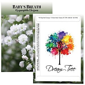 Standard Series Seed Packet - Baby's Breath Main Image