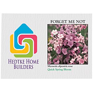 Impression Series Seed Packet - Pink Forget Me Not Main Image
