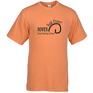 Collegiate Cotton Pigment-Dyed  T-Shirt Main Image