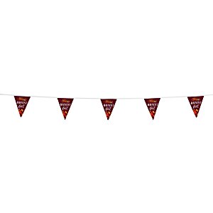 20' Triangle Pennant String - 12" x 9" - 11 Pennants - One Sided Main Image