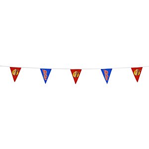 20' Triangle Pennant String - 12" x 9" - 11 Pennants - One Sided - Alternating Main Image
