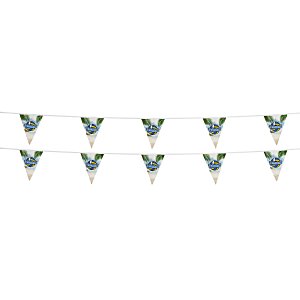 20' Triangle Pennant String - 12" x 9" - 11 Pennants - Two Sided Main Image