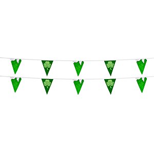 20' Triangle Pennant String - 12" x 9" - 11 Pennants - Two Sided - Alternating Main Image