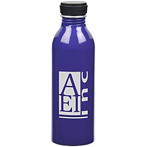 Level Aluminum Bottle - 17 oz. Main Image