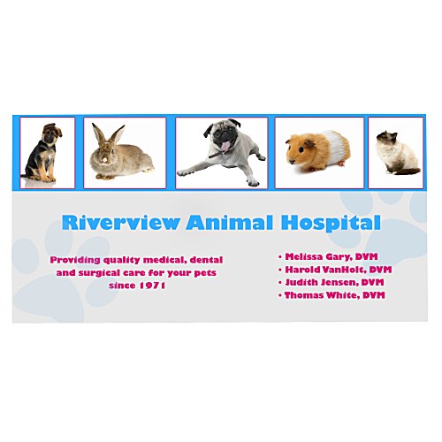 Flat Flexible Magnet - Rectangle 2" x 4" Main Image