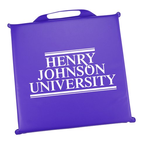 Deluxe Stadium Cushion Main Image