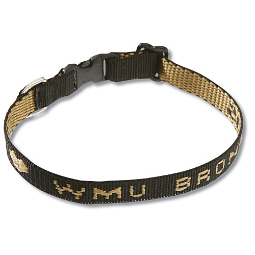 Cat Collar Main Image
