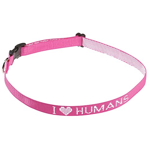 Dog Collar - Large Main Image