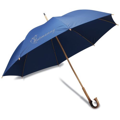 Eco Friendly Recycled Umbrella Main Image