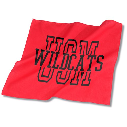 Spirit Rally Rag Main Image