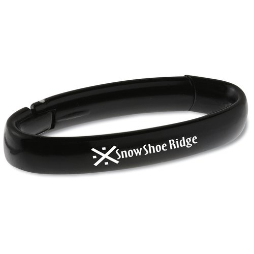 Oval Carabiner Main Image