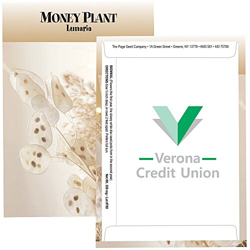 Standard Series Seed Packet - Money Plant Main Image