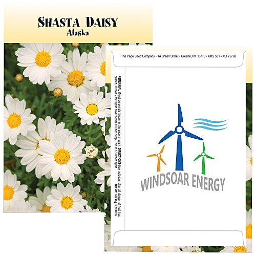 Standard Series Seed Packet - Shasta Daisy Main Image