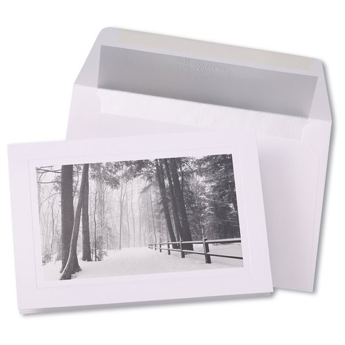 Fine Art Forest Photo by Hallmark Main Image