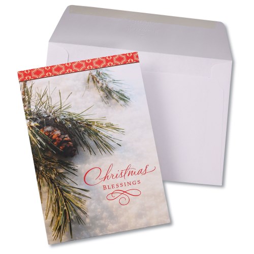 Snowy Pine Bough by Hallmark Main Image