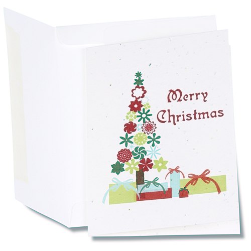 Seeded Holiday Card - Merry Christmas Main Image