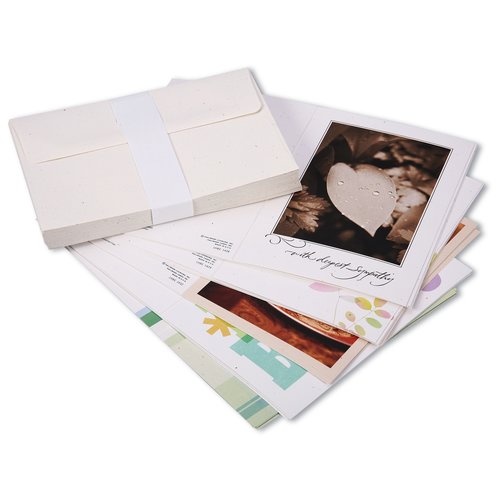 Green Assortment by Hallmark - 25 Pack Main Image