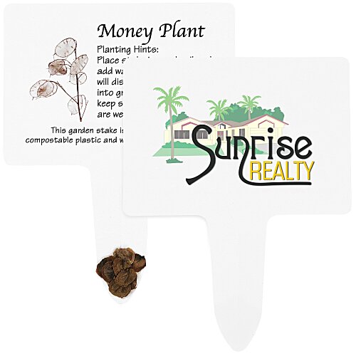 Compostable Seed Stakes - Money Plant Main Image