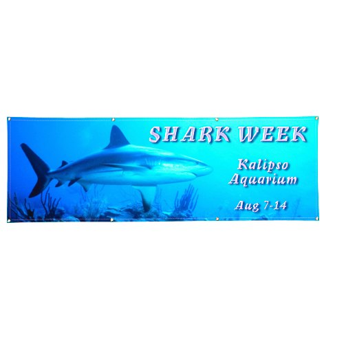 Vinyl Full Color Banner - 2' x 6' Main Image