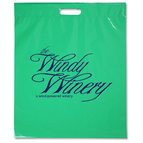 Take Home Bag - 18" x 15" - Opaque Main Image