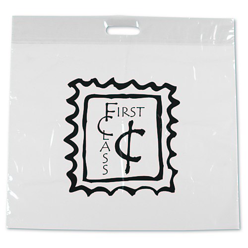 Take Home Bag - 20" x 20" - Translucent Main Image