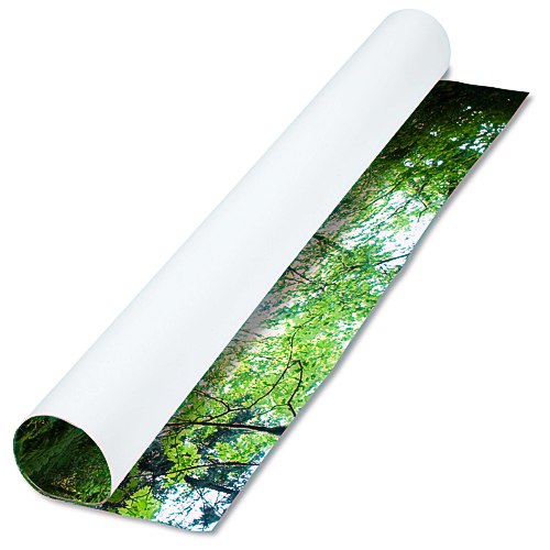 Element Pro Retractable Banner Display - Replacement Graphic Main Image