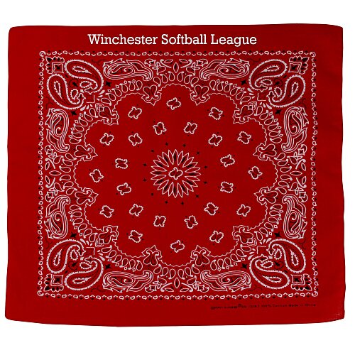 Paisley Bandana Main Image