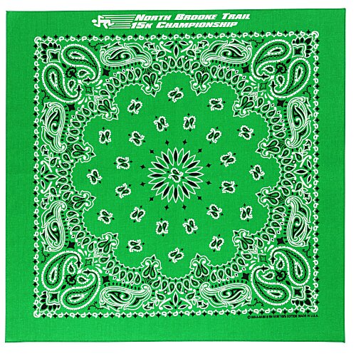 Paisley Bandana - USA Made Main Image