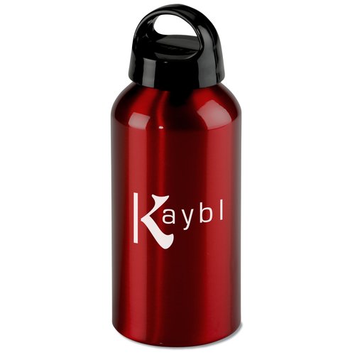 Shortie Aluminum Bottle - 17 oz. Main Image