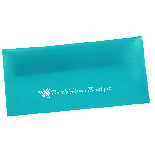 Document Portfolio - 4-7/8" x 10" - Translucent Main Image