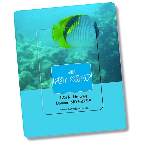 Bic Magnetic Photo Frame - Rectangle - 24 hr Main Image