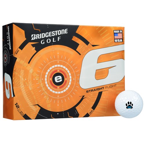 Bridgestone E6 Golf Ball - Dozen - Quick Ship Main Image