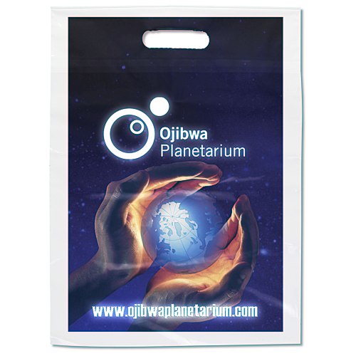 Take Home Bag - 15" x 11" - Full Color Main Image