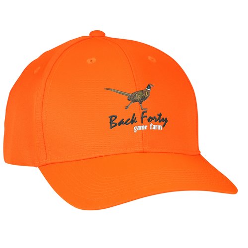 Blaze Cap - Embroidered Main Image