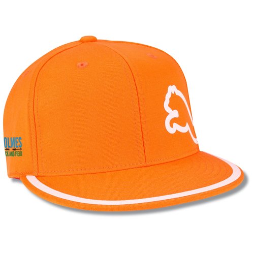PUMA Monoline 210 Fitted Cap Main Image
