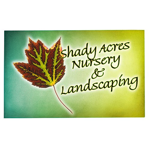 Flat Flexible Magnet - Rectangle 2-1/2" x 4" Main Image