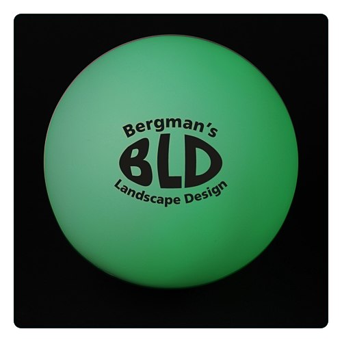 Light-Up Garden Ball Main Image