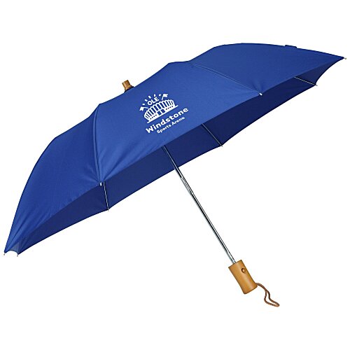 Executive Folding Umbrella - 43-inch Arc Main Image