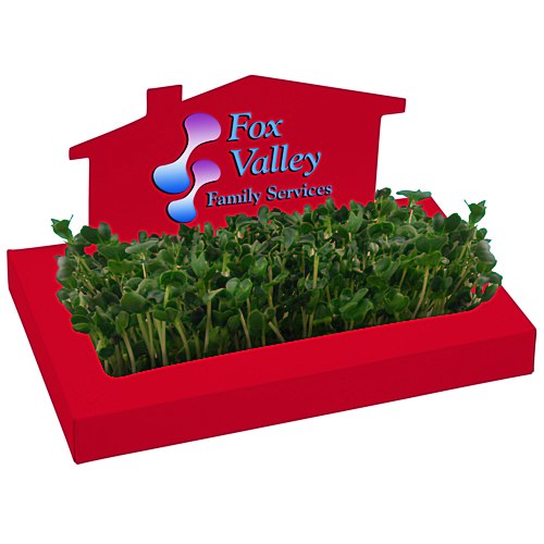 House Sprout Box Main Image