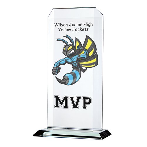 Aspire Starfire Glass Award - 11 inches - Full Color Main Image