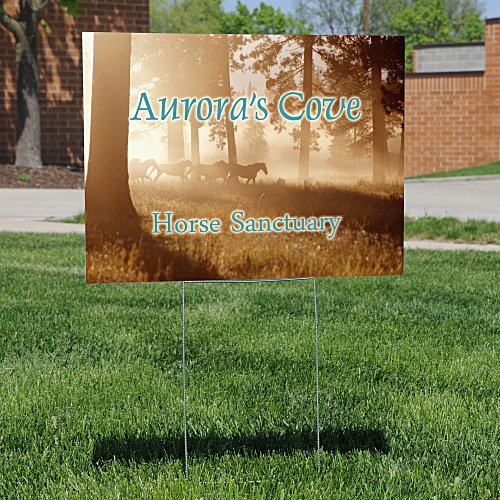 Corrugated Plastic Yard Sign with Wire Frame - 18" x 24" - Full Color Main Image