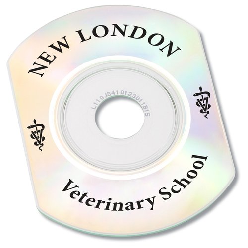 Recordable Business Card CDs - Screened Main Image